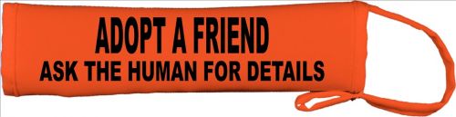 Adopt A Friend Ask The Human For Details Lead Cover / Slip